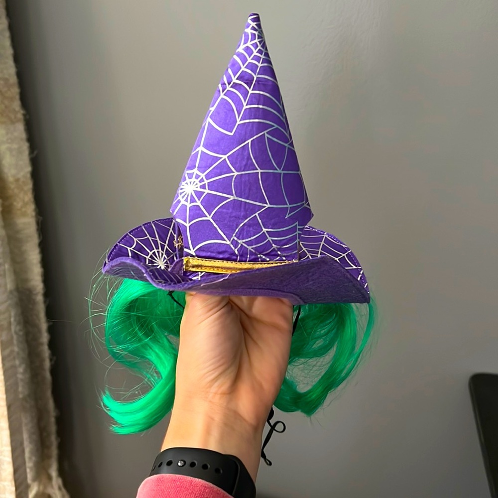 Dog witch hat & wig
